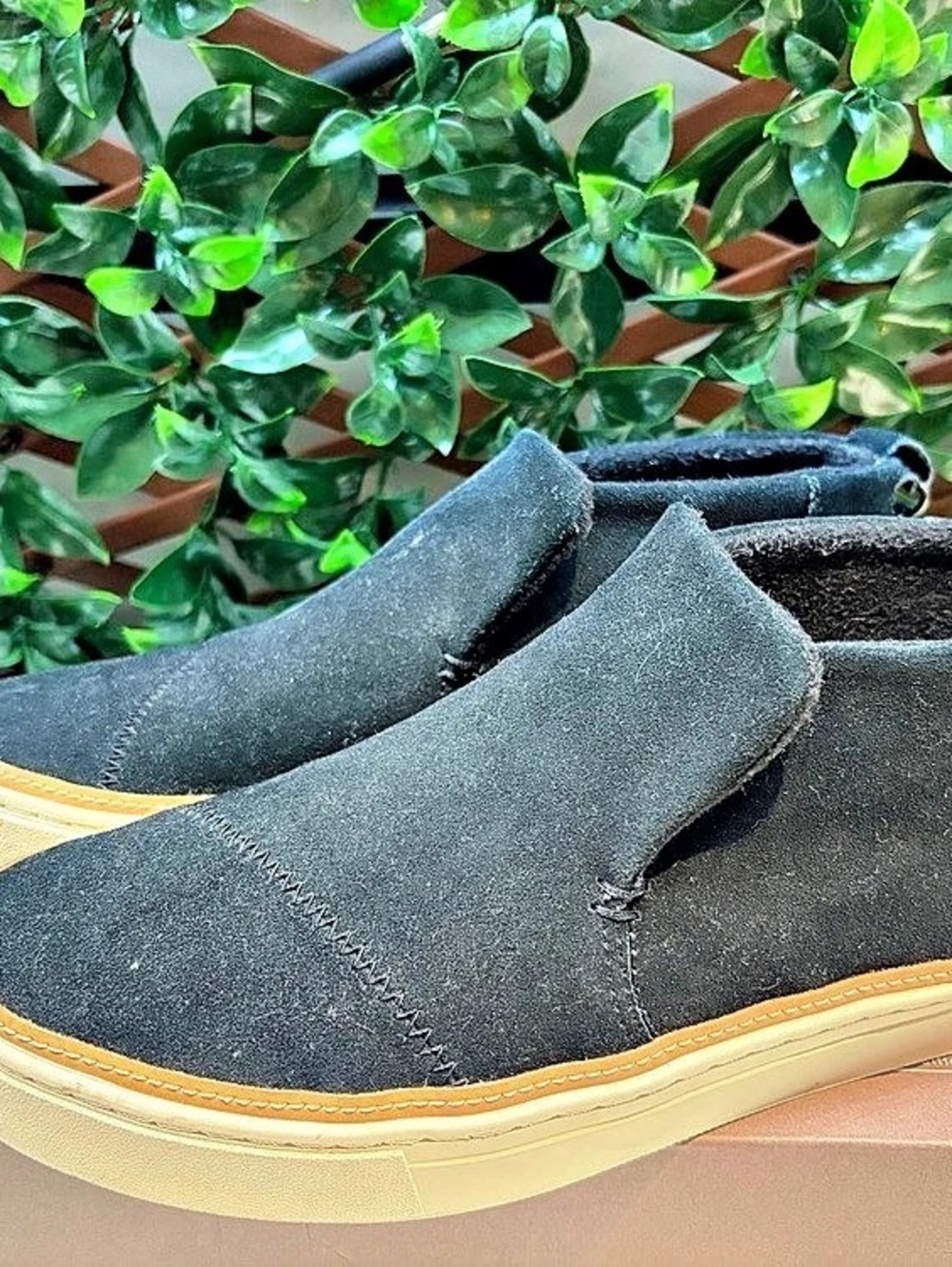 TOMS Black Casual Sneakers US 10